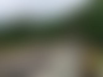 Pahuatlán impone controles para frenar abusos y encarecimiento tras el paso de “Raymond”