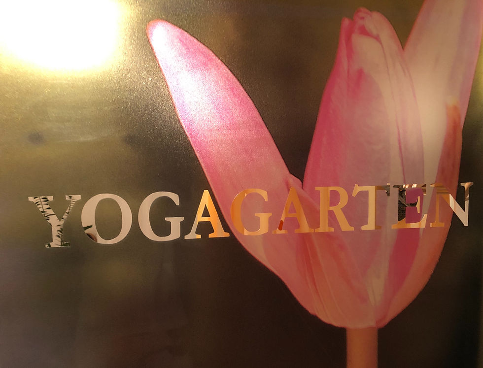 neue Fensterfront Juni 2020