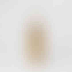 brushed brass toilet bowl brush gold