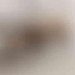 Modern Round Nesting Coffee Table Set of 2