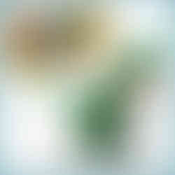 lego creator mighty dinosaurs 3in1 31058 target easter basket gift ideas