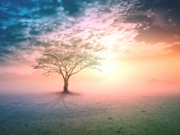 Everyday Life and Home Design: The Origin of "The Mystical Mind"