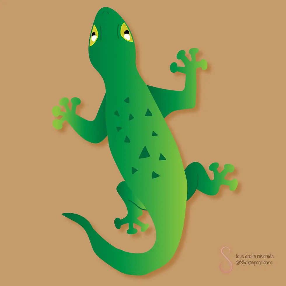 Gekko