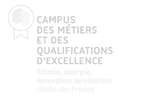 Logo CMQ CEIT_edited.png