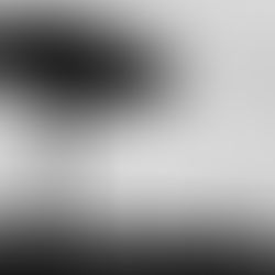 657 Shepherds Heard What? Nov 16, 2025.Â