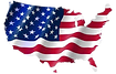 U.S.A logo