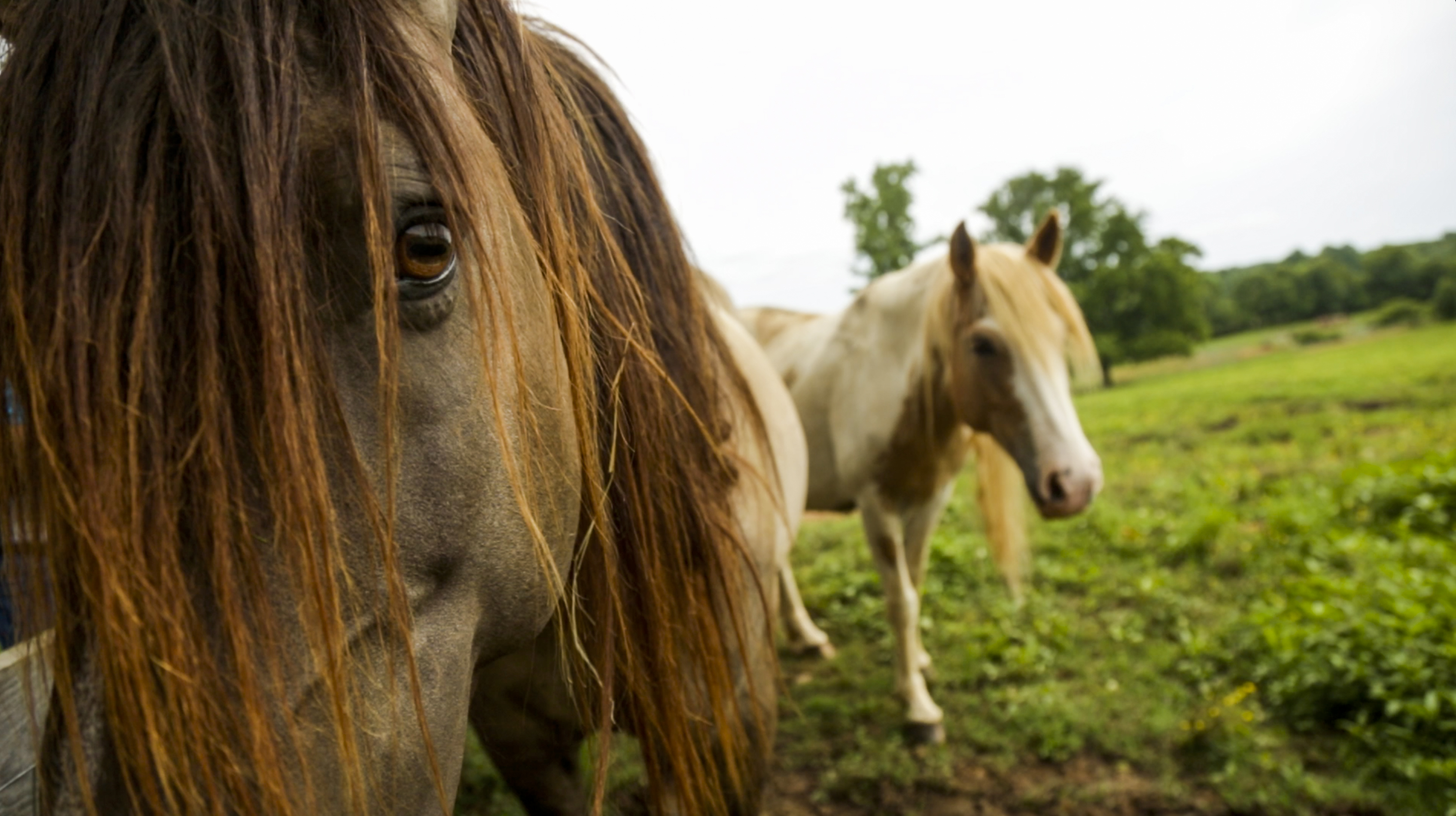 Sacred Way Sanctuary Interpretive Center & Museum Florence, AL
