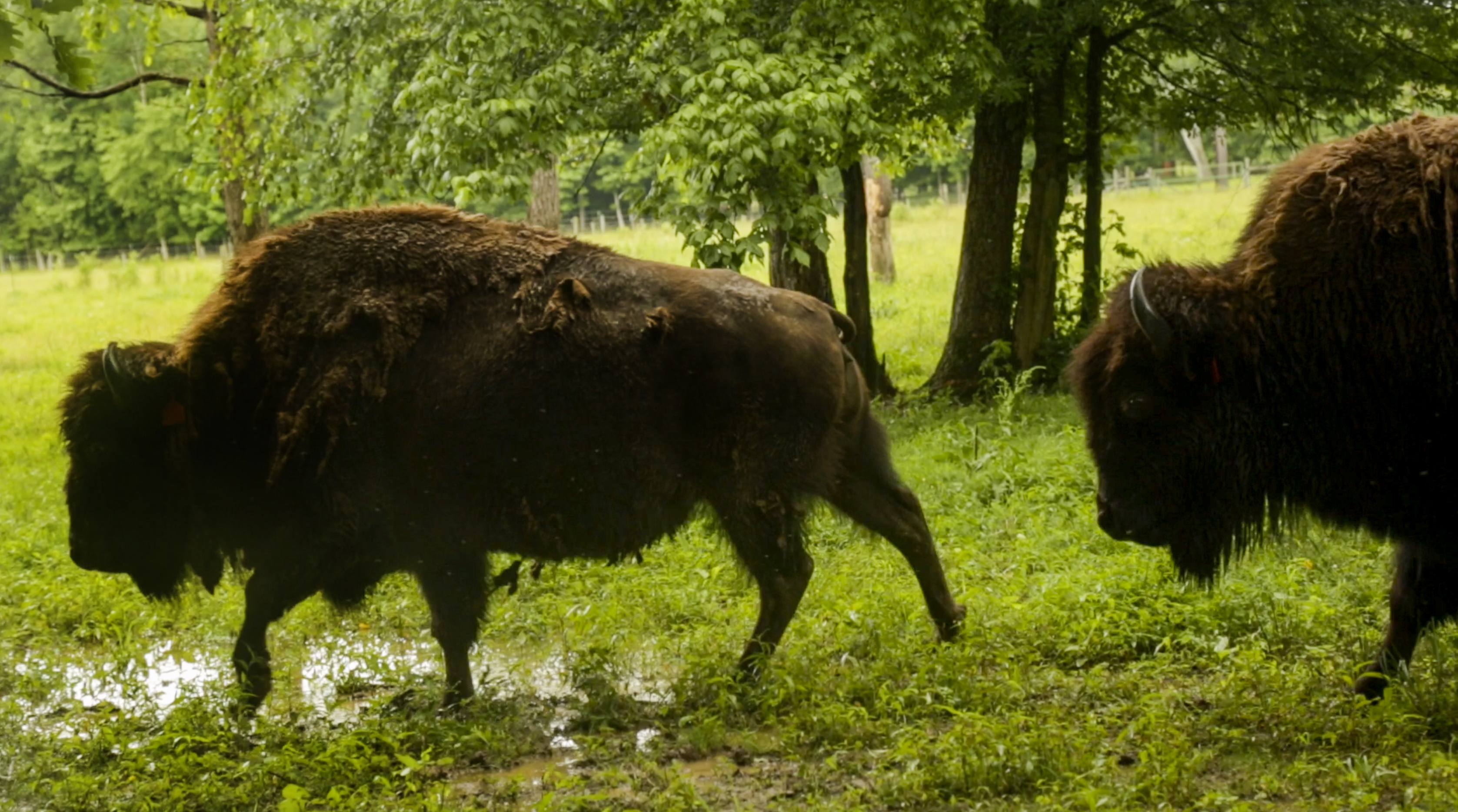 Sacred Way Sanctuary Interpretive Center & Museum Florence, AL