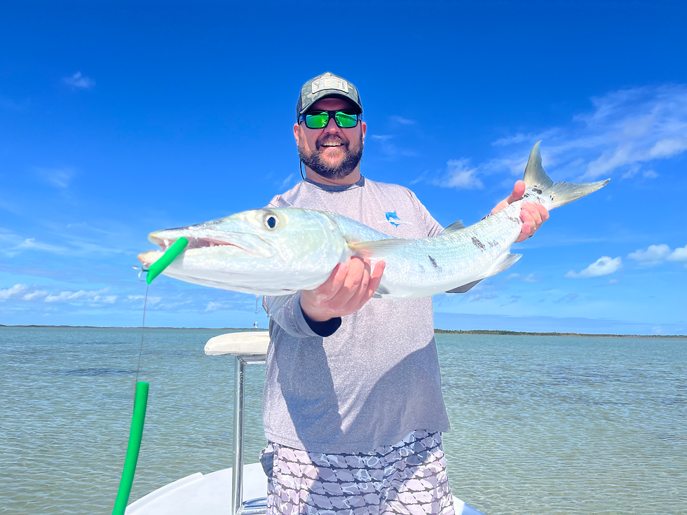 Acrobatic barracuda.