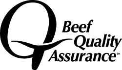 BQA-Logo-250.webp