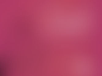 The Designed in a Day VIP Experience