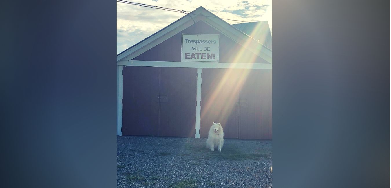 About Millbrook Venison Product, Inc.