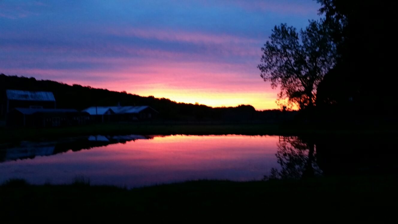 About Millbrook Venison Product, Inc.