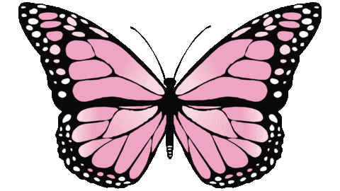 mariposa1.gif