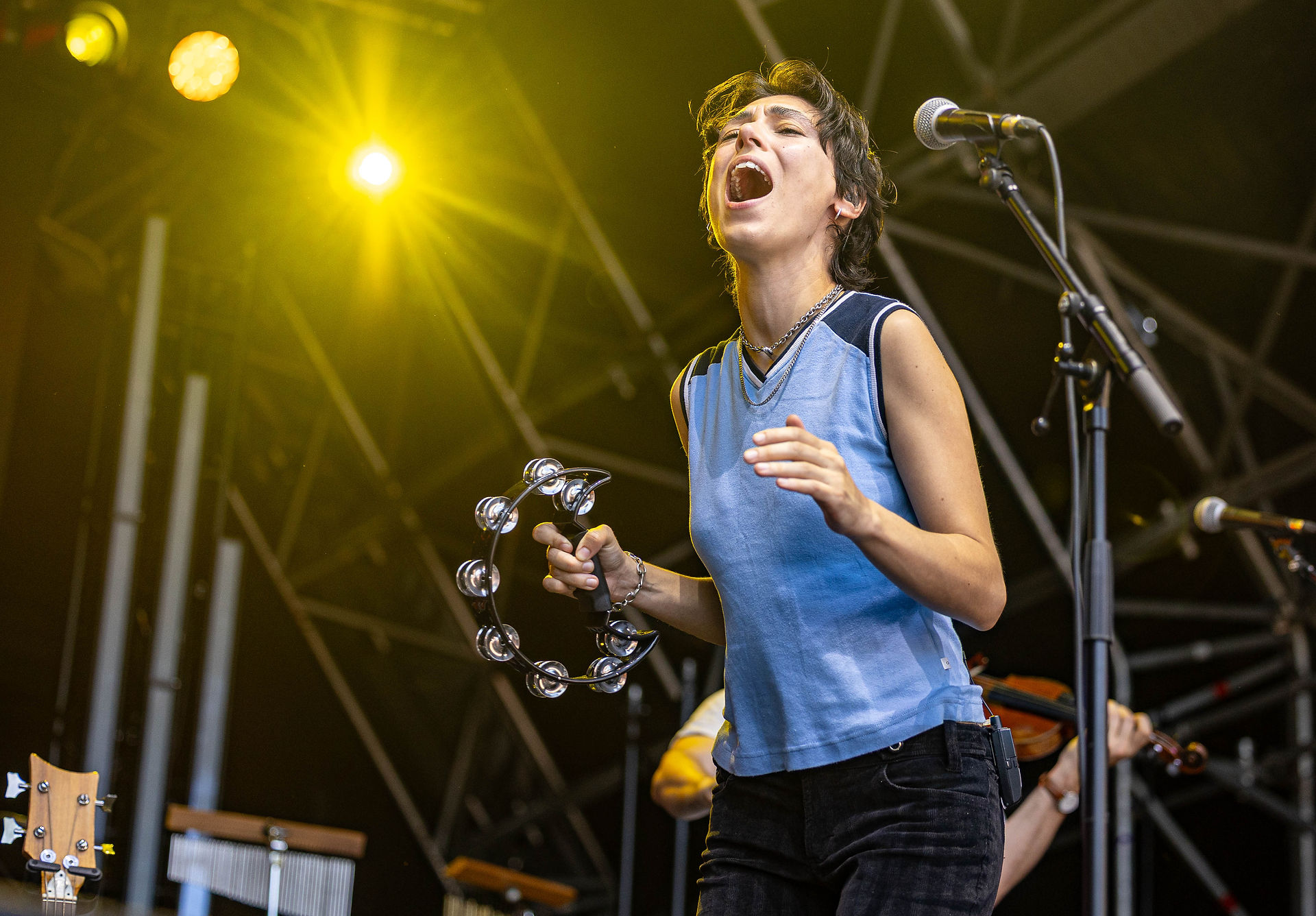 Super Furry Animals, Baxter Dury, Los Campesinos!, Divorce & Pys Melyn @ Museum Gardens, York - 11th