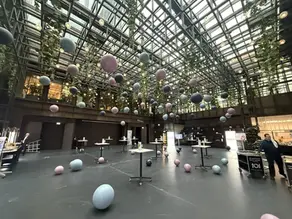Die Psychologie hinter Ballons. Warum Erwachsene genauso reagieren wie Kinder.