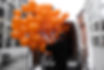 DSCF5707.JPG