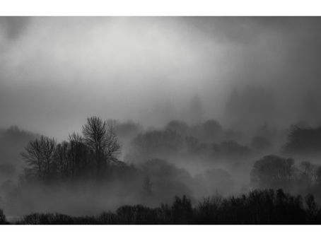 Lost in the Mist: A Misty Morning Photo (Day 100)