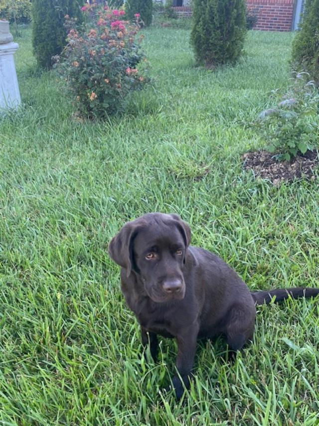 Molly