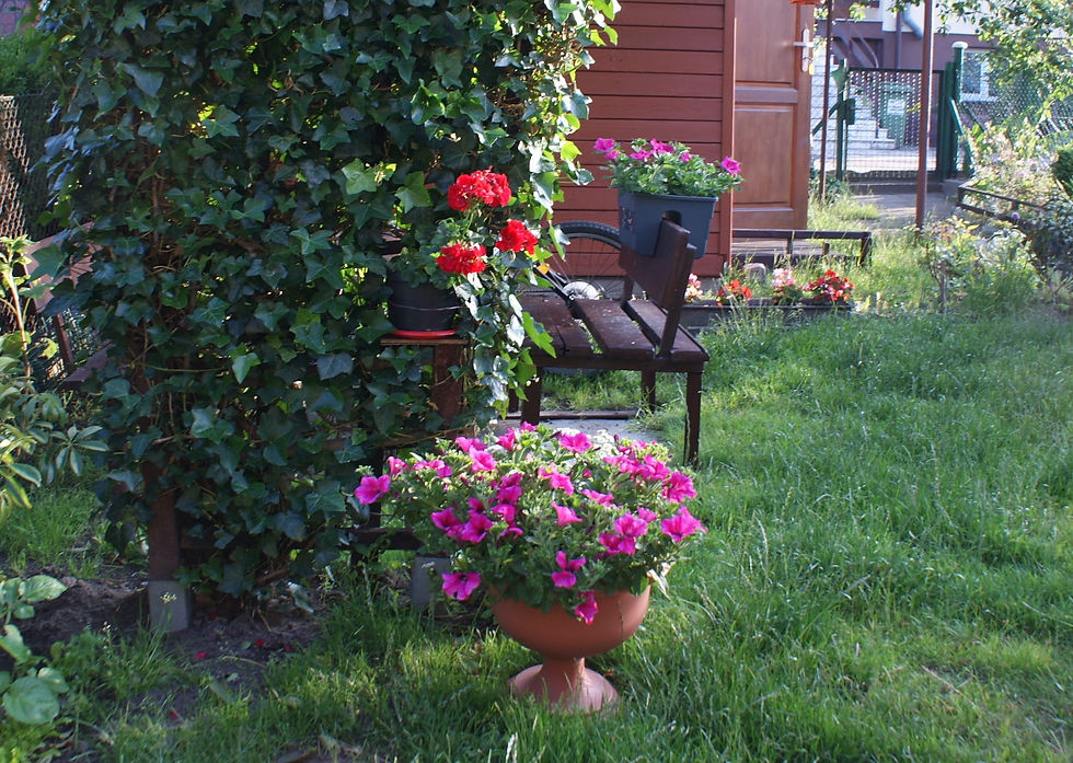 Powiększ