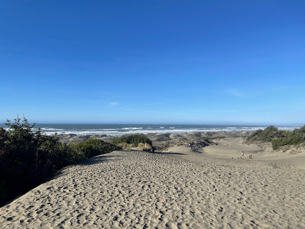 Dunes.jpeg