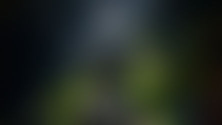 Tepaluma® Maqui Gin: A Deep Homage to this Ancestral Fruit.