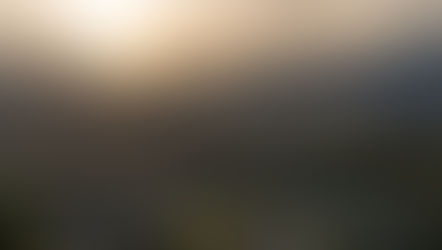 Un Nuevo Capítulo para Tepaluma: Creando Legado en 2025.