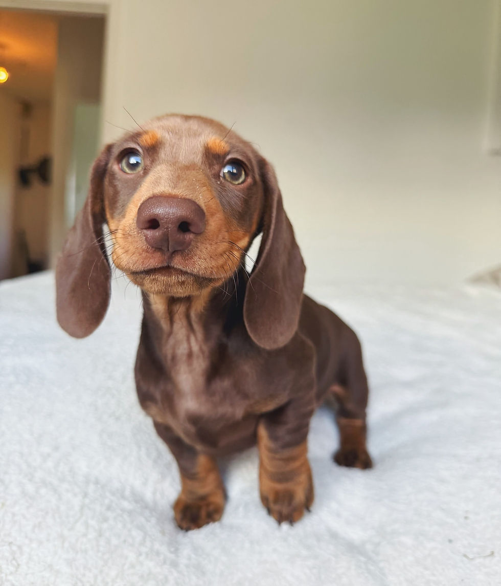 Fiona...JPG
