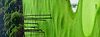 long golf graphic