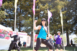 San Ramon Art & Wind Festival