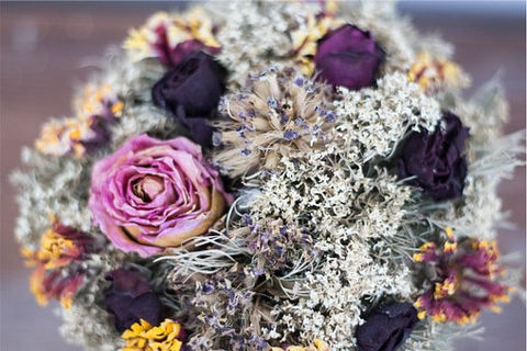 Saisonale Blumen im Herbst von Blumen Flora
