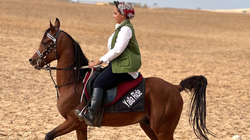 Horse Racing