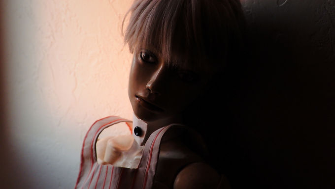 The trees shed their leaves, and the light faded away...