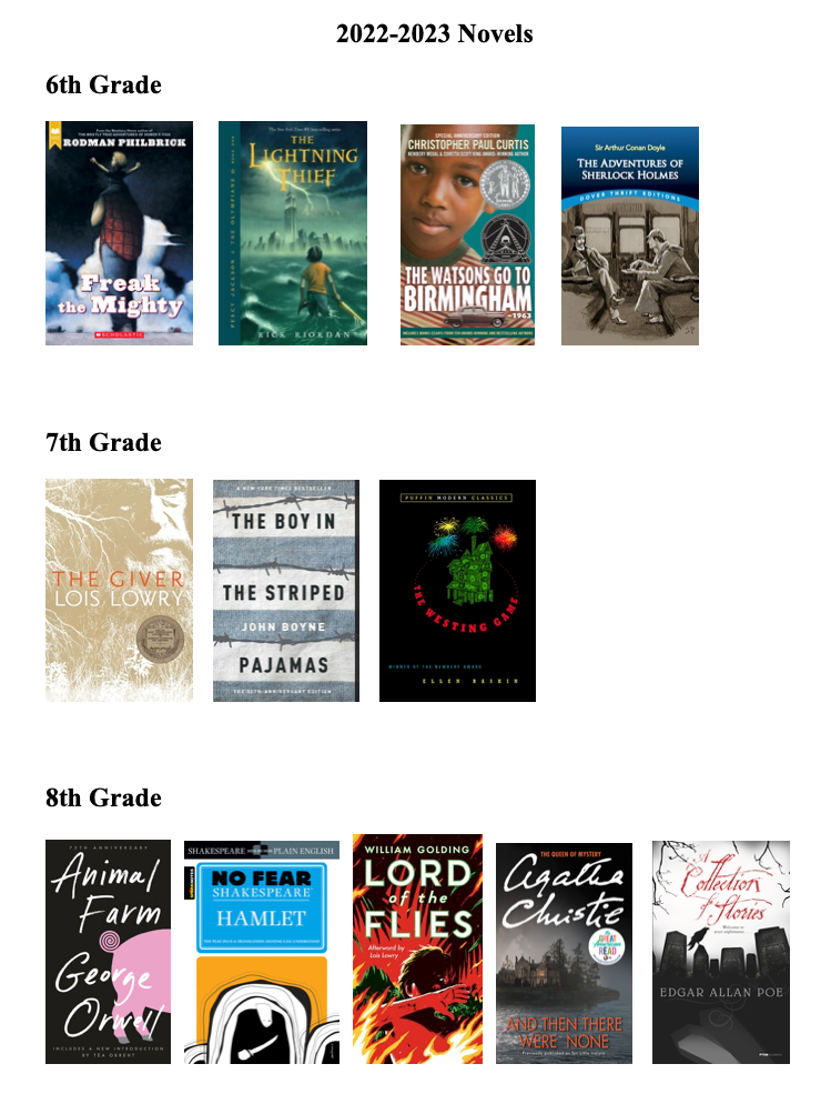 Replacement Student Novels