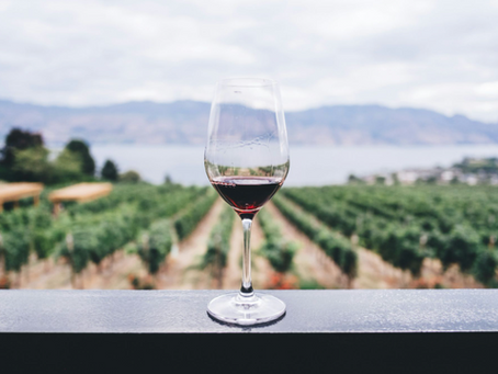How to Taste Wine Like a Winemaker