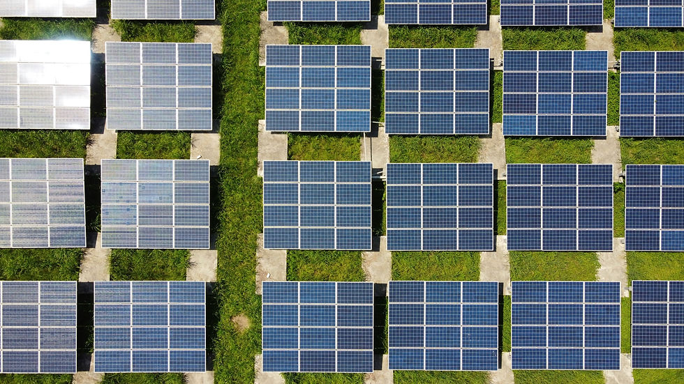 Solar panels to power wineries sustainably