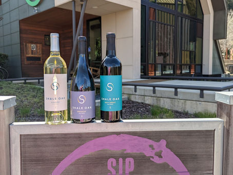 Exploring Sustainable Wine: What It Means and Why It Matters