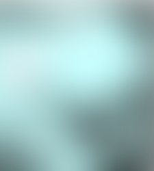 How to Design and Conduct an Occupancy Survey – Step by Step