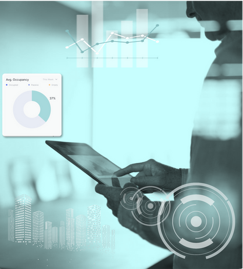 How to Design and Conduct an Occupancy Survey – Step by Step