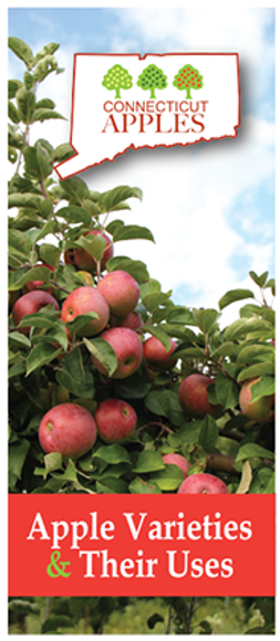 ct apples varieties
