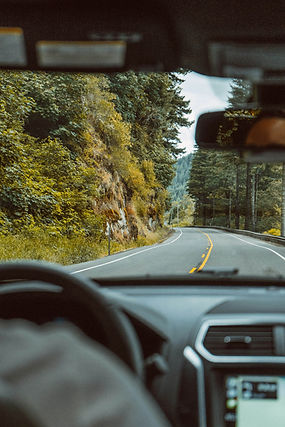 A commuter driving on a pretty country road.