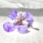 ree