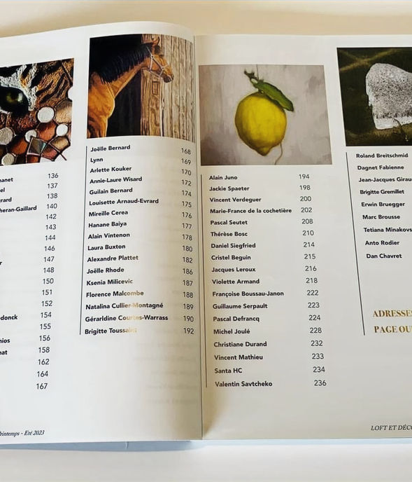 magazine-loft-et-decoration-demanet-nathalie-artiste-peintre-belge