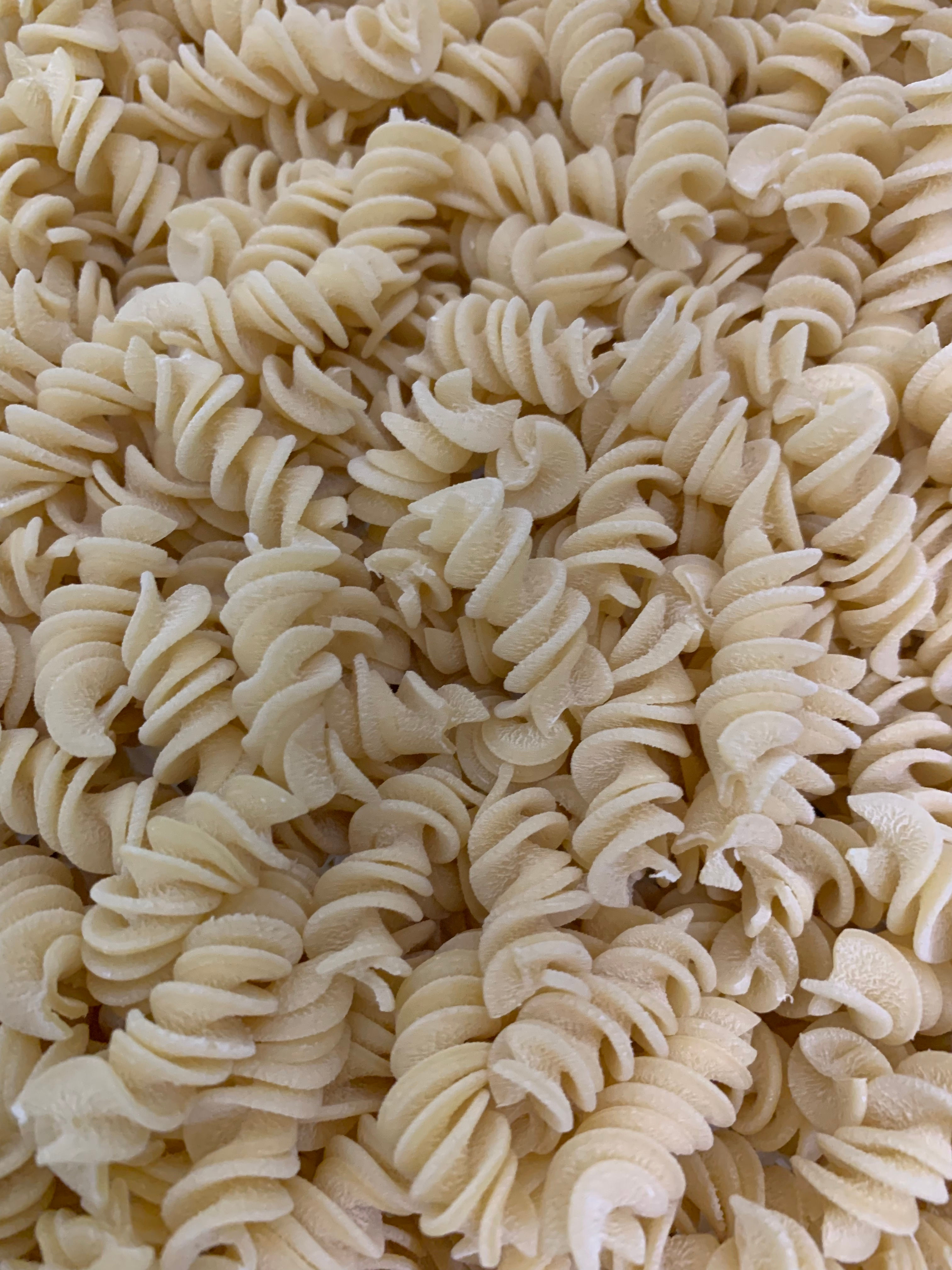Fresh Fusilli