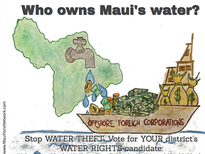Maui Pono Network Barge Illustration
