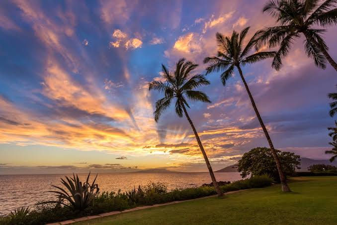 Kihei Talk Story with the Ohana Candidates