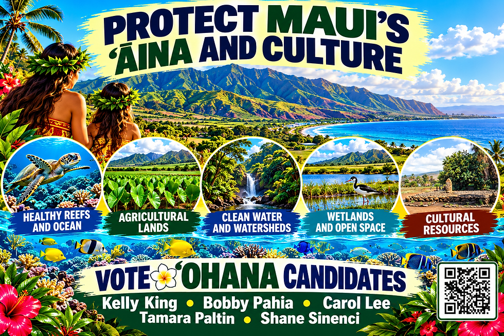 8.  aina and culture.png