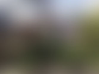 Modern vs Classic: Choosing the Right Rhode Island House