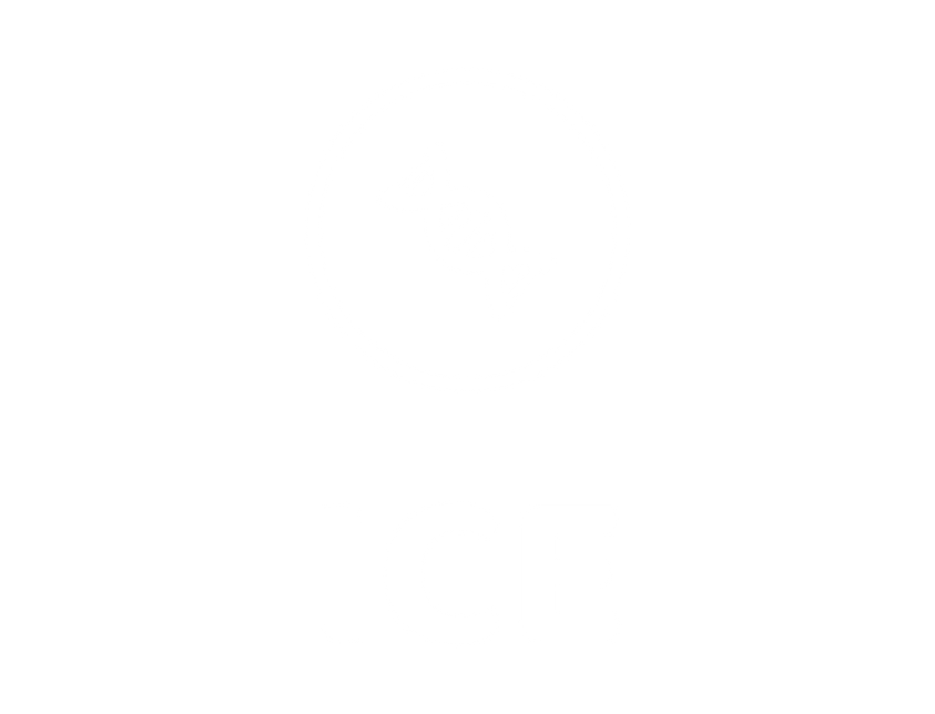 LOGO SINERGY BLANCOS-03.png