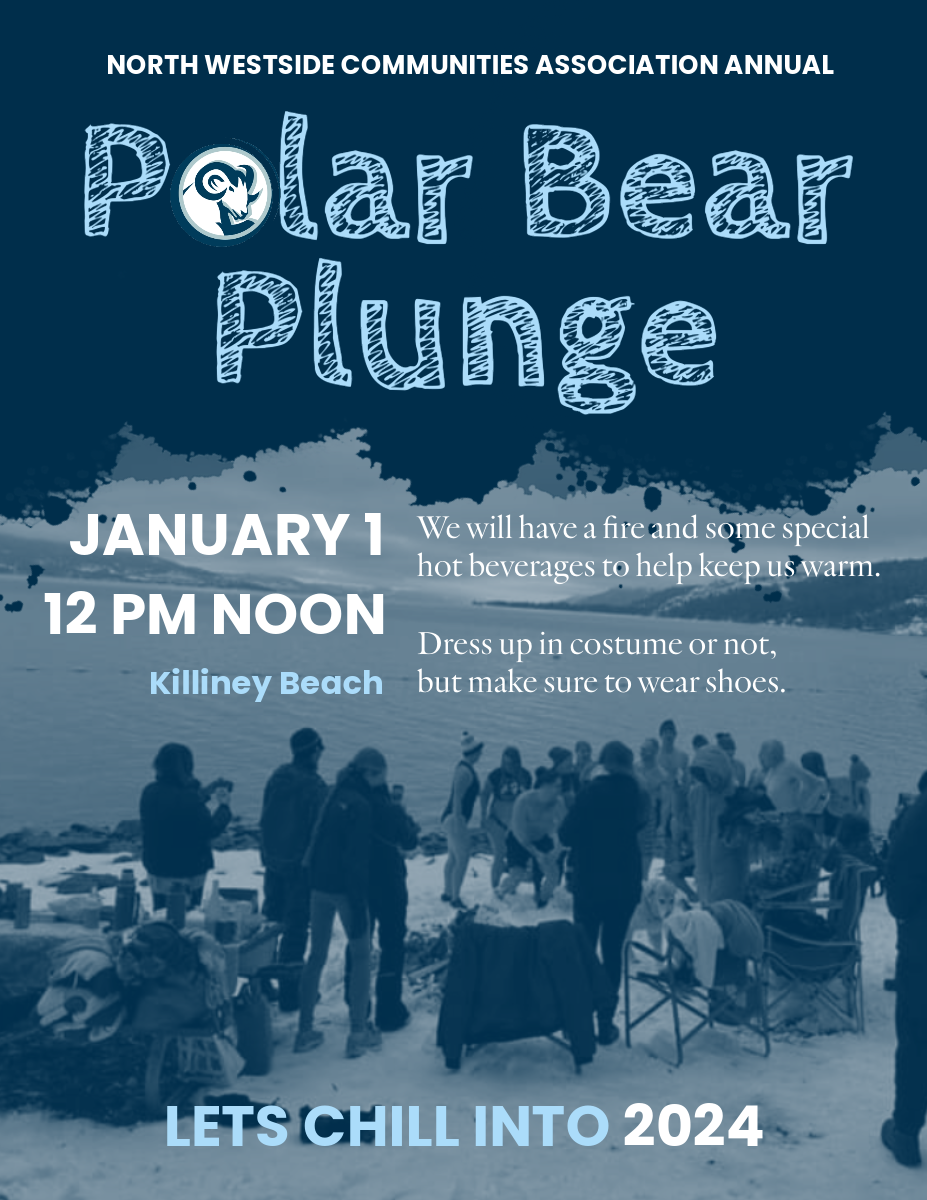 NWCA POLAR PLUNGE